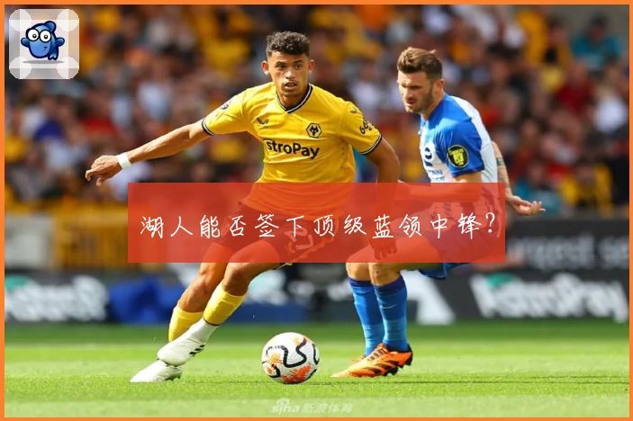 湖人能否签下顶级蓝领中锋？