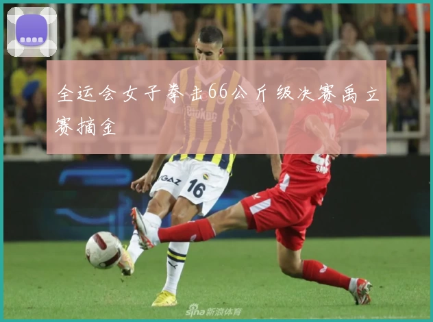 全运会女子拳击66公斤级决赛禹立赛摘金