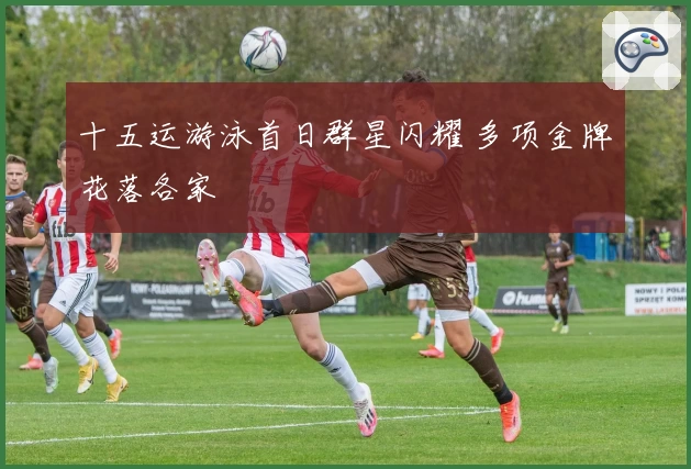 十五运游泳首日群星闪耀 多项金牌花落各家