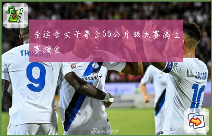 全运会女子拳击66公斤级决赛禹立赛摘金